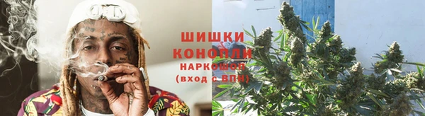 прущие грибы Михайлов