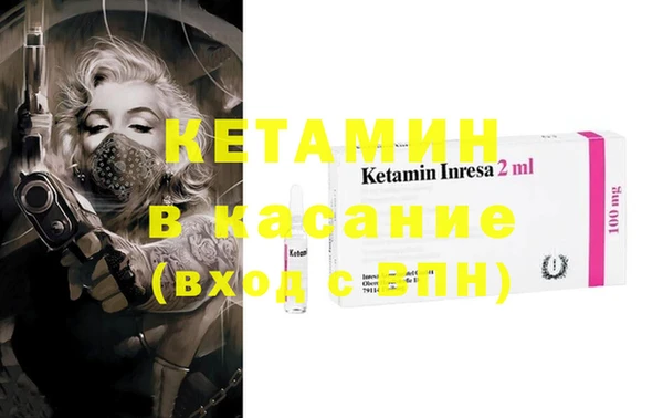 прущие грибы Михайлов