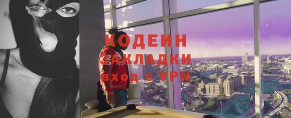 прущие грибы Михайлов