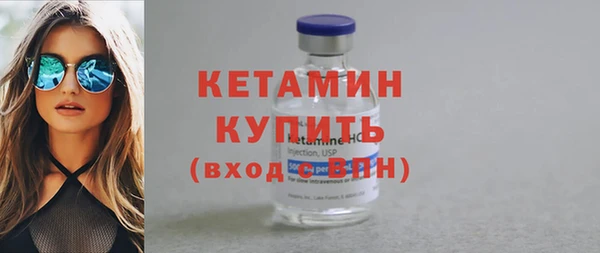 прущие грибы Михайлов