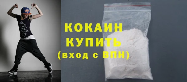 прущие грибы Михайлов