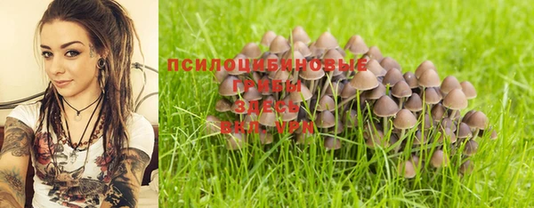 дмт Михайловск