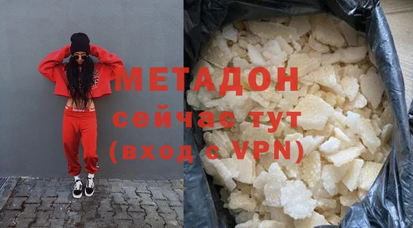 прущие грибы Михайлов