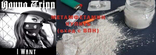прущие грибы Михайлов