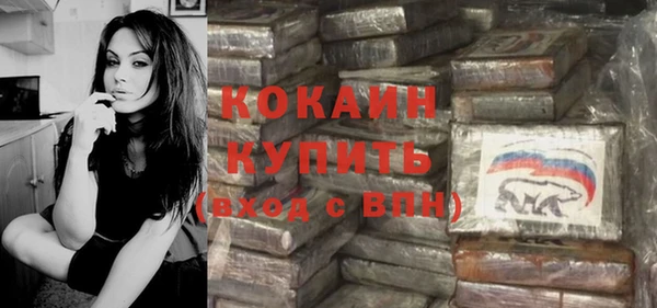 прущие грибы Михайлов