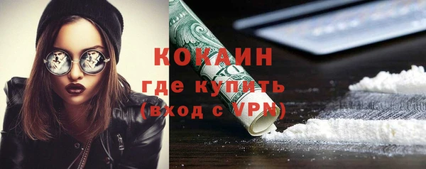 прущие грибы Михайлов